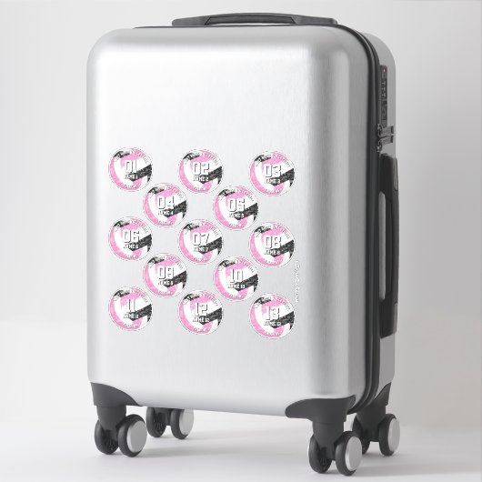 13 volleybalsters Boho Paisleys Roze Zwart Sticker (Koffer)