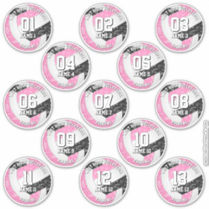 13 volleybalsters Boho Paisleys Roze Zwart Sticker