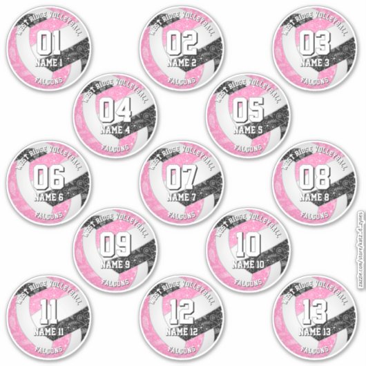 13 volleybalsters Boho Paisleys Roze Zwart Sticker (Voorkant)