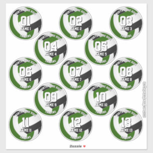 13 Volleybalsters Groen Zwart Team Kleuren Sticker