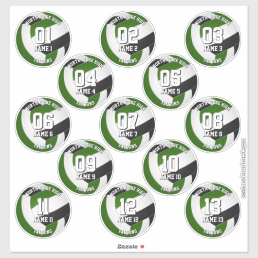 13 Volleybalsters Groen Zwart Team Kleuren Sticker (Vel)