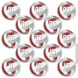 13 volleybalsters Maroon Grey Team kleuren Sticker