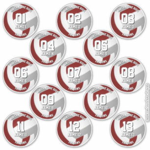 13 volleybalsters Maroon Grey Team kleuren Sticker
