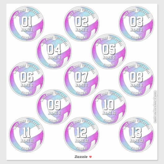 13 volleybalsters roze paarse blauw sticker (Vel)