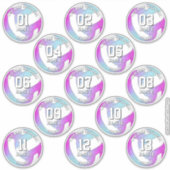 13 volleybalsters roze paarse blauw sticker (Voorkant)