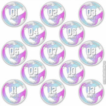 13 volleybalsters roze paarse blauw
