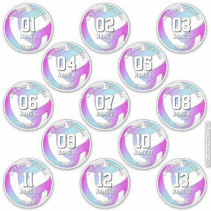 13 volleybalsters roze paarse blauw sticker