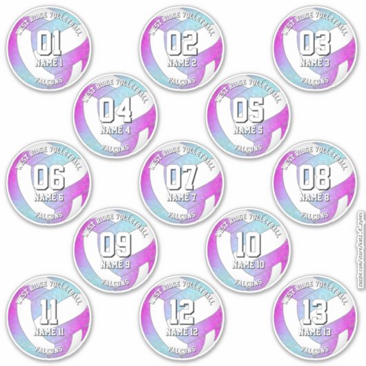 13 volleybalsters roze paarse blauw sticker (Voorkant)