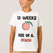 13 weken zwangerschap - Schattigee retro fruit van T-shirt (Voorkant)
