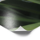 13"x19" Iris Foto Afdruk (Hoek)