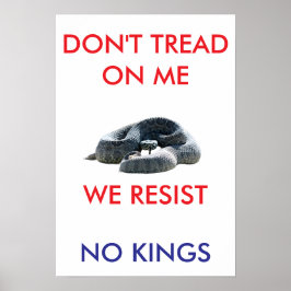 13 X 19 archief zware mat papier rallyposter Poster