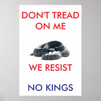 13 X 19 archief zware mat papier rallyposter Poster