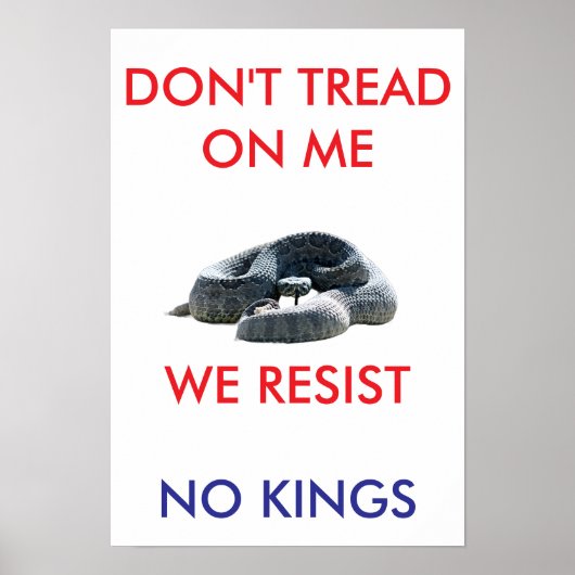 13 X 19 archival hearvy matte paper rally poster (Voorkant)