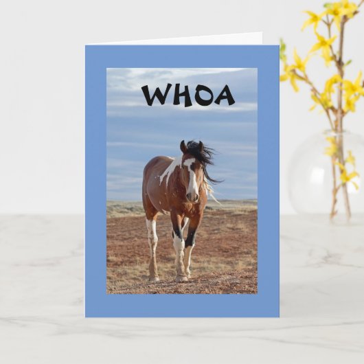 **13e BIRTHDAY** UIT COMEDIC HORSE Kaart (Gele Bloem)