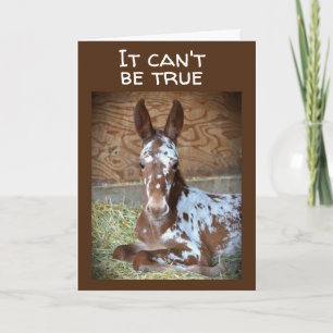**13e BIRTHDAY** WISH VAN EEN COMEDIC HORSE Kaart