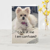 ** 13e halve dag** ZO VEROORDEELD! Kaart (Gele Bloem)