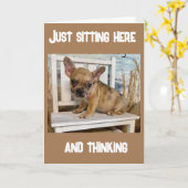 **13E VERJAARDAG** HOE IS DAT GEBEURD???? KAART (Gele Bloem)