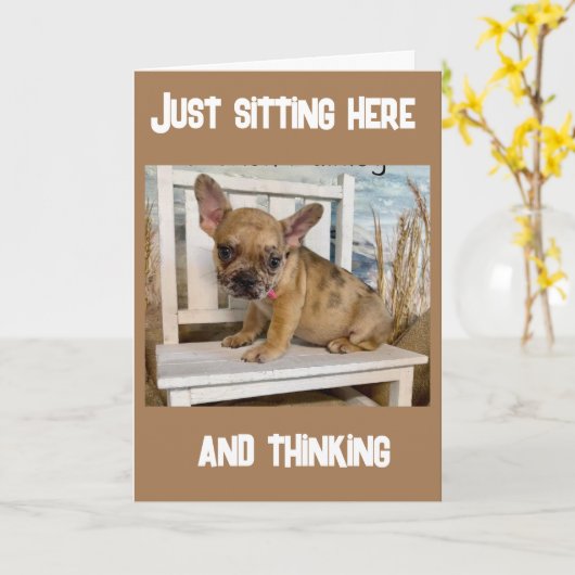 **13E VERJAARDAG** HOE IS DAT GEBEURD???? KAART (Gele Bloem)