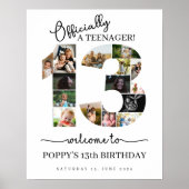 13e verjaardag officieel tiener foto collage poster (Voorkant)