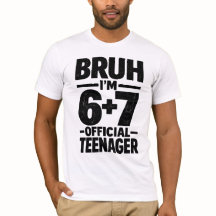 13e verjaardagsshirt Funny Meme 6 7 verjaardag 13 