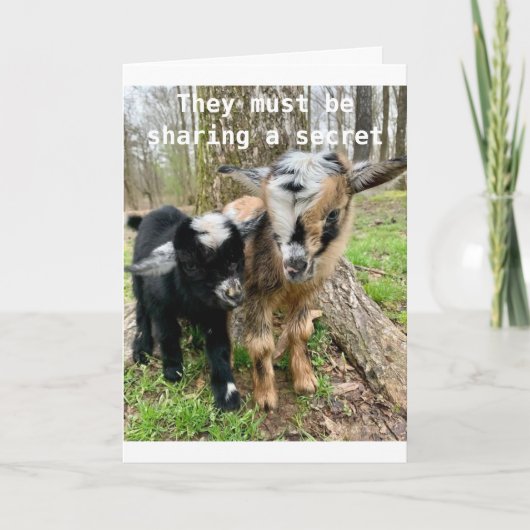 **13e VIRTHDAY* GOATS DELEN HIEROVER EEN GEHEIM Kaart (Voorkant)