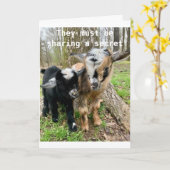 **13e VIRTHDAY* GOATS DELEN HIEROVER EEN GEHEIM Kaart (Gele Bloem)
