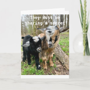**13e VIRTHDAY* GOATS DELEN HIEROVER EEN GEHEIM Kaart