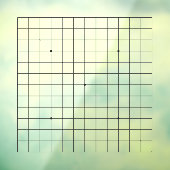 13x13 Goban Transparant Decal (Vel 3)