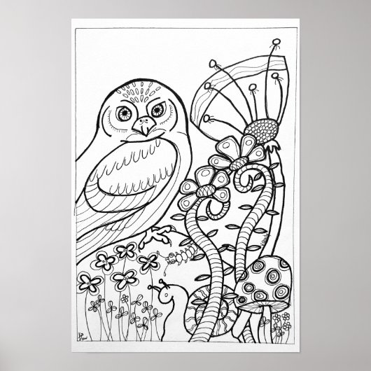 13x19 kleuren poster met uil (Voorkant)