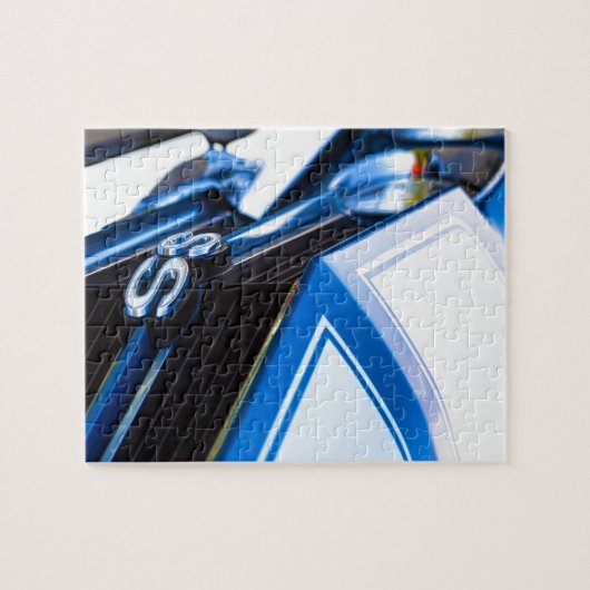 13x19 VI6Q5884_FAA-Recovered Legpuzzel (Horizontaal)