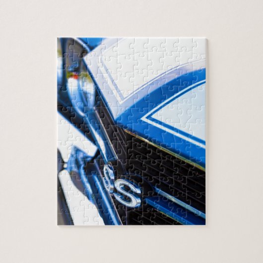 13x19 VI6Q5884_FAA-Recovered Legpuzzel (Verticaal)