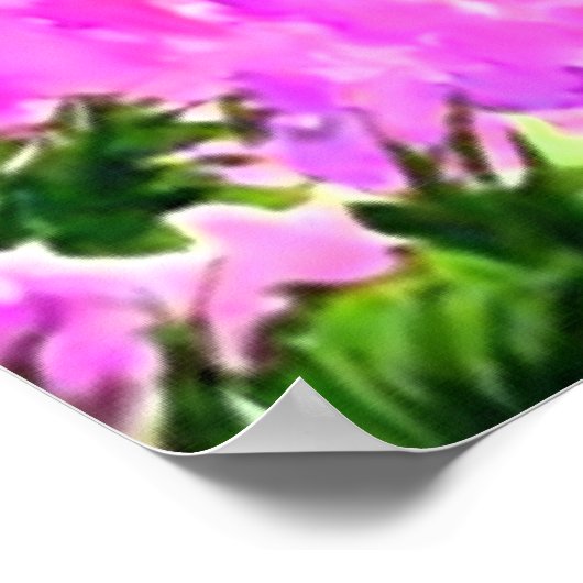 145:16 POSTER (Hoek)