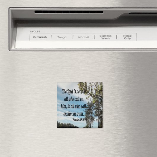 145:18 MAGNEET (Insitu (Vaatwasser))