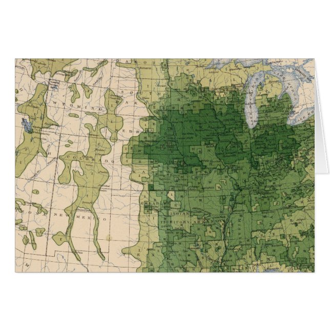 146 Swine/sq mile (Voorkant Horizontaal)