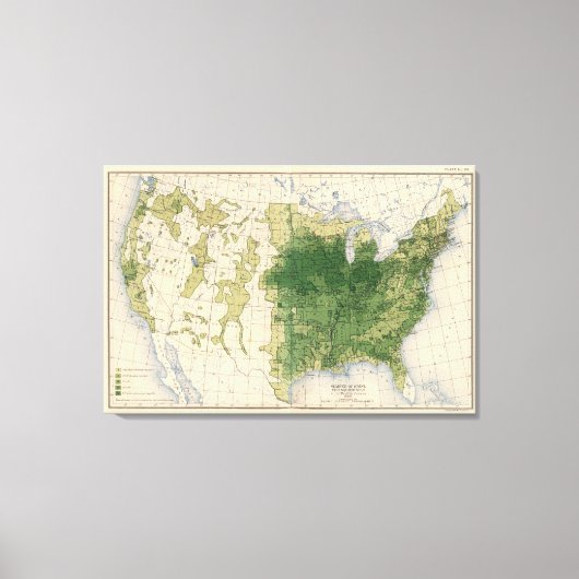 146 Swine/sq mile Canvas Afdruk (Voorkant)