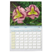 14720033, Lumberton daylilies 048, Lumberton da... Kalender (Feb 2026)