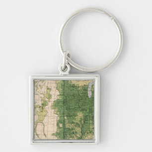 149 Paarden, muildieren, ezels/vierkante mijlen Sleutelhanger