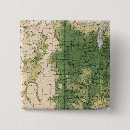 149 Paarden, muildieren, ezels/vierkante mijlen Vierkante Button 5,1 Cm (Voorkant)