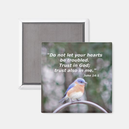 14:1 MAGNEET (Voorkant / Achterkant)