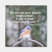 14:1 MAGNEET (Voorkant)