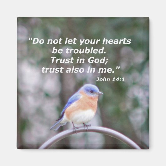 14:1 MAGNEET (Voorkant)