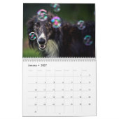 14-2016 Silken Windhounds-kalender Kalender (Jan 2027)