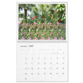 14,25-inch brede internationale Magic Eye-kalender Kalender (Jan 2027)