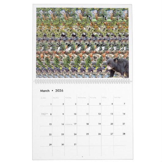 14,25-inch brede internationale Magic Eye-kalender Kalender (Mar 2026)