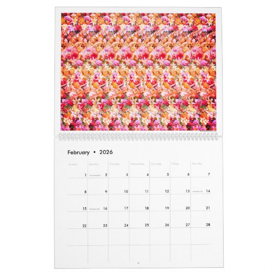 14,25-inch brede internationale Magic Eye-kalender Kalender (Feb 2026)