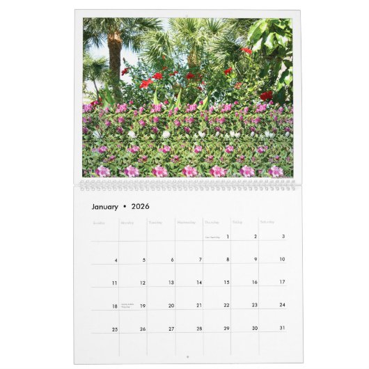 14,25-inch brede internationale Magic Eye-kalender Kalender (Jan 2026)