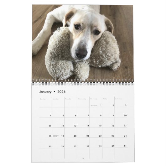 14 Foto volledige dekking - Moderne persoonlijke Kalender (Jan 2026)