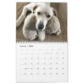 14 Foto volledige dekking - Moderne persoonlijke  Kalender (Jan 2026)