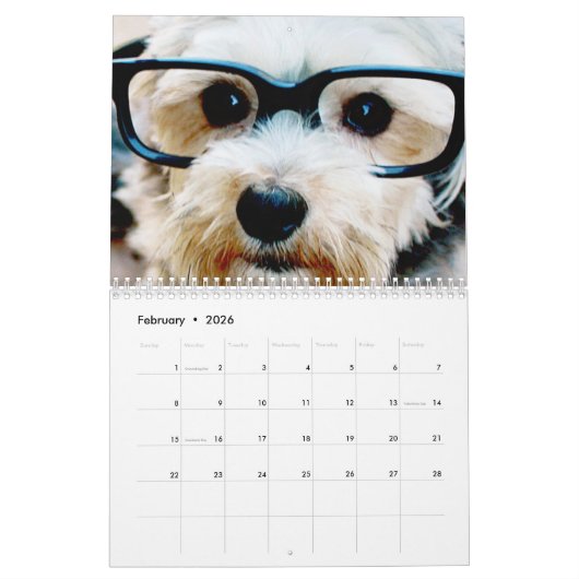14 Foto's Sjabloon - Whimsical Custom Photo Kalender (Feb 2026)