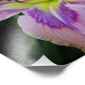 14-inch x11-daglelies foto afdruk (Hoek)